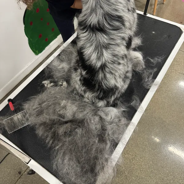 De-Shedding